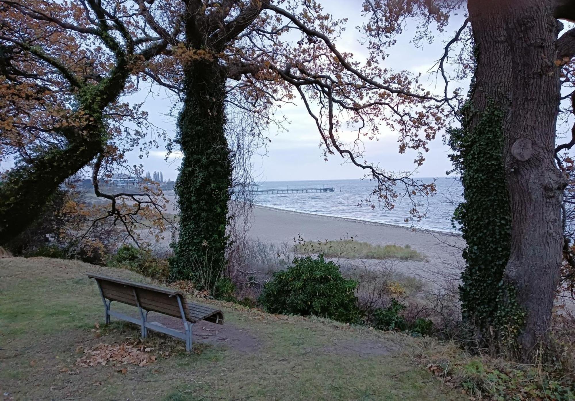 Fewo Muschelgetuschel Im Prinz Hamlet - Direkte Strandlage Pelzerhaken Exterior photo
